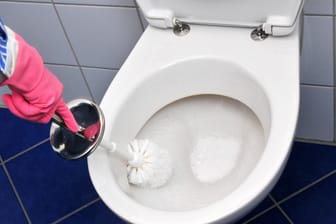 Eine Kloschüssel wird geputzt: Mit etwas Waschmittel wird die Toilette strahlend rein.