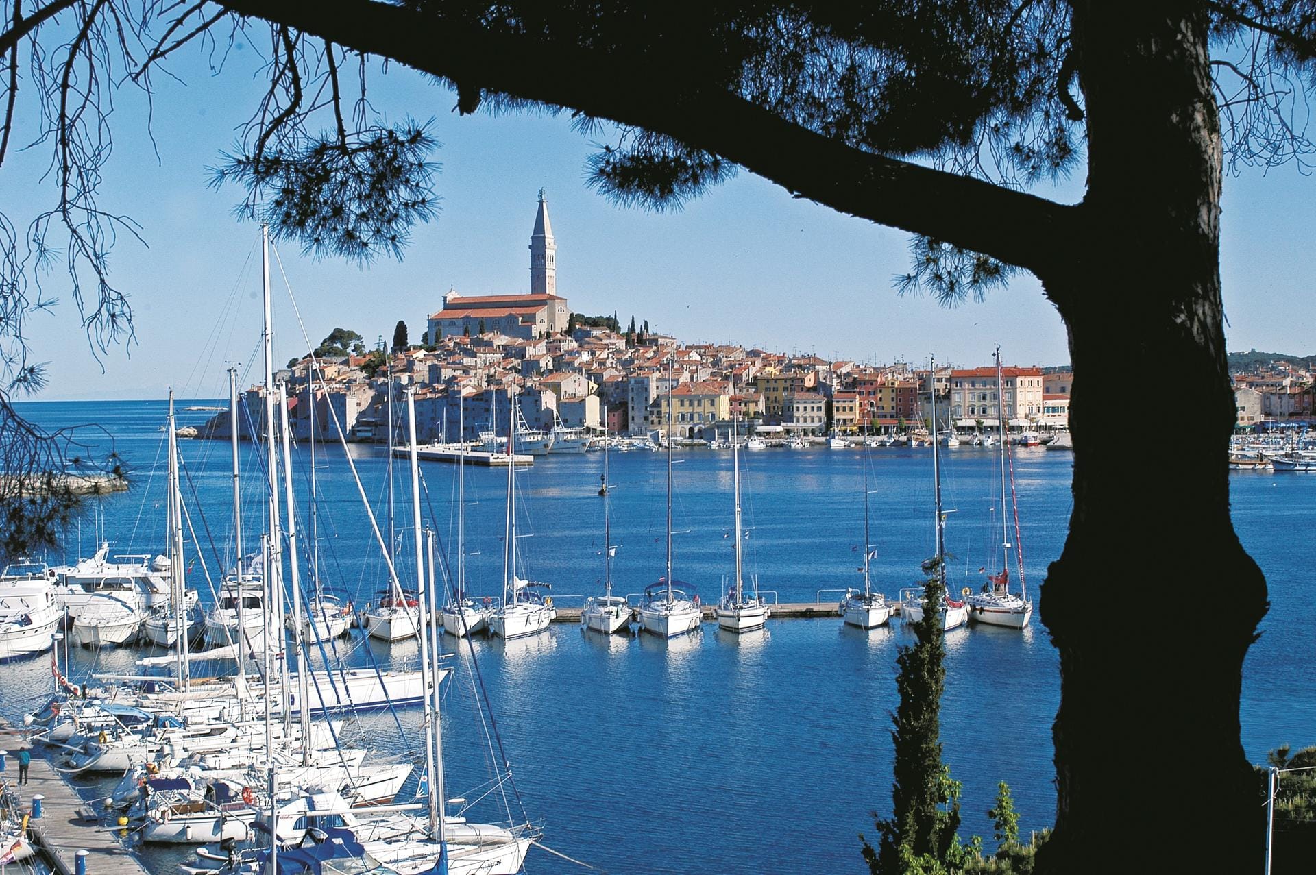 Eine Stadt wie aus dem Bilderbuch: Das direkt am Meer gelegene Rovinj wird oftmals als romantischste Stadt des Mittelmeeres bezeichnet.