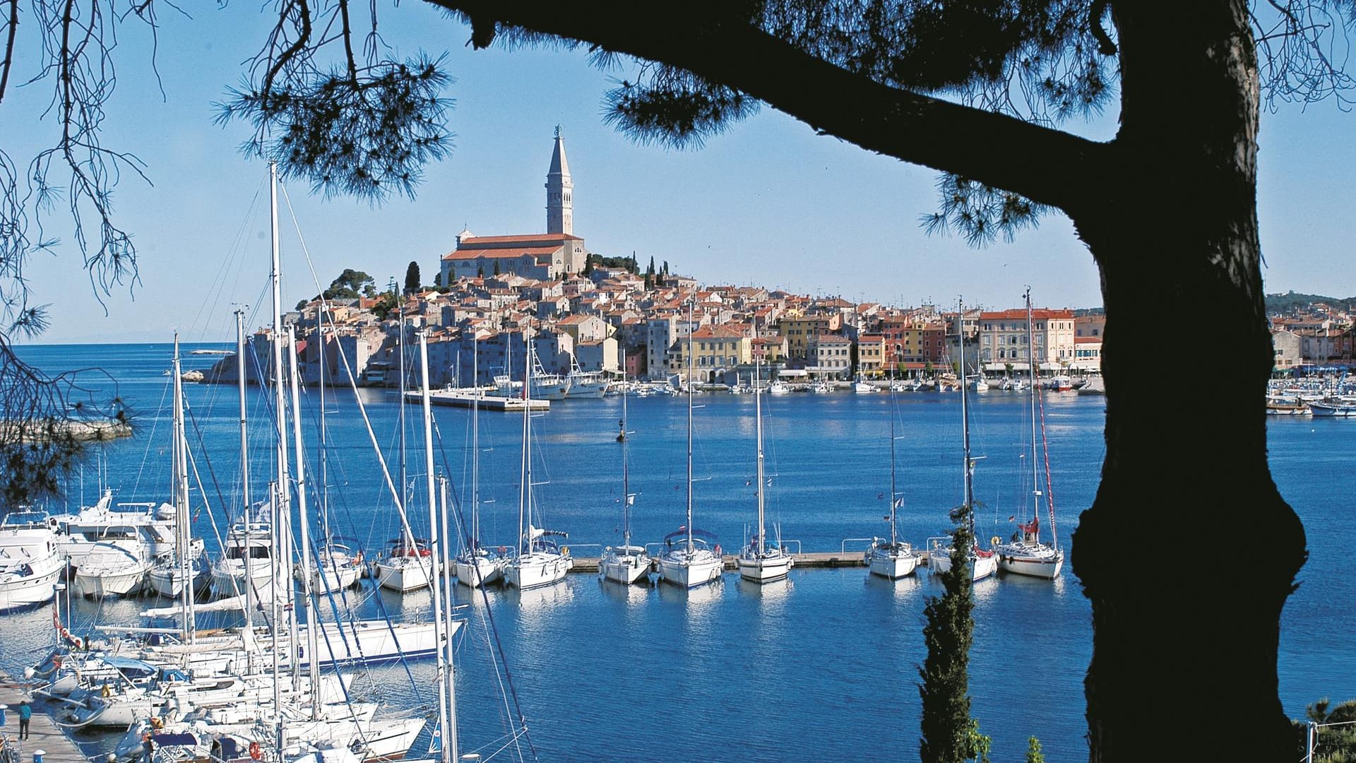 Eine Stadt wie aus dem Bilderbuch: Das direkt am Meer gelegene Rovinj wird oftmals als romantischste Stadt des Mittelmeeres bezeichnet.