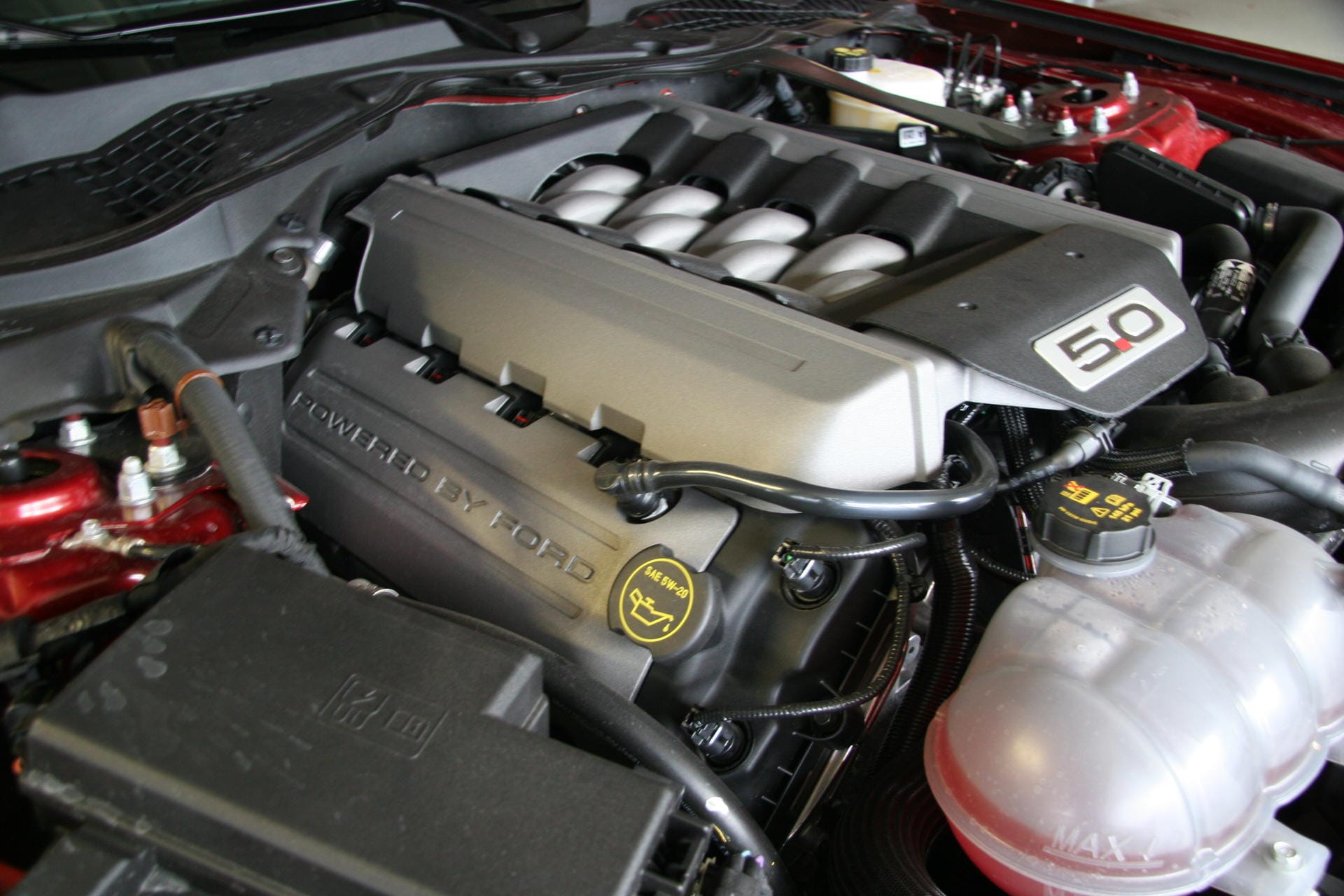 Blick unter die Haube des GT: Ein fünf Liter großer V8 mit 421 PS (in Amerika 435 PS) und 530 Newtonmetern Drehmoment.