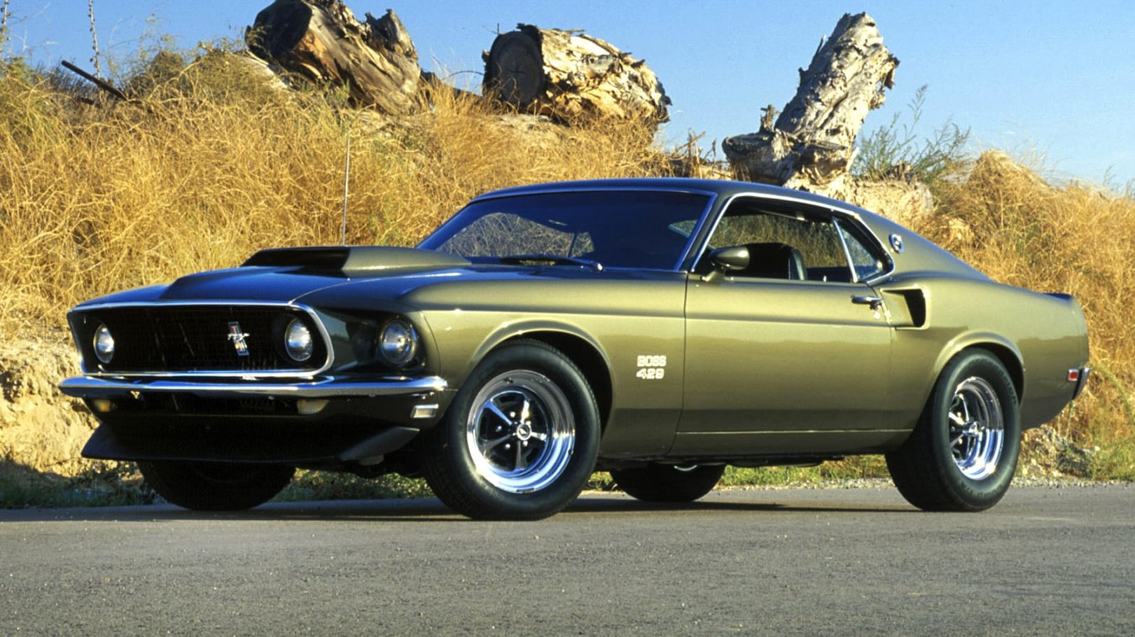 1969 Ford Mustang Boss 429