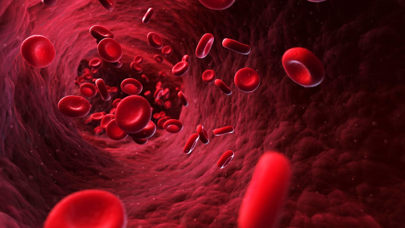 Grafische Darstellung von Zellen im Blutgefäß: Wenn sich die Gefäße verändern, bleibt das oft lange unbemerkt.