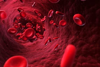 Grafische Darstellung von Zellen im Blutgefäß: Wenn sich die Gefäße verändern, bleibt das oft lange unbemerkt.