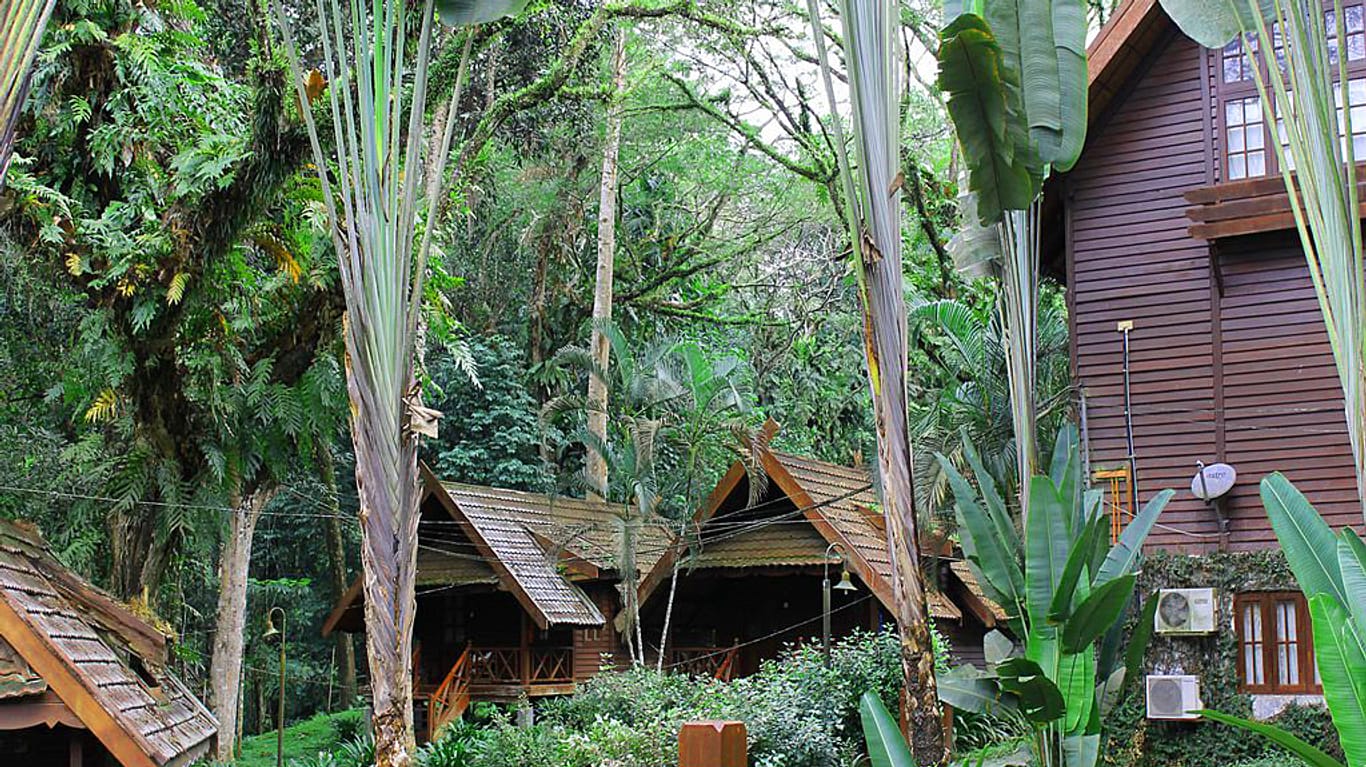 Das "Hotel Mutiara Taman Negara Resort" in Kuahla Tahan/Malaysia ermöglicht Urlaubstage inmitten eines unberührten Dschungels.