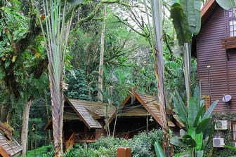 Das "Hotel Mutiara Taman Negara Resort" in Kuahla Tahan/Malaysia ermöglicht Urlaubstage inmitten eines unberührten Dschungels.