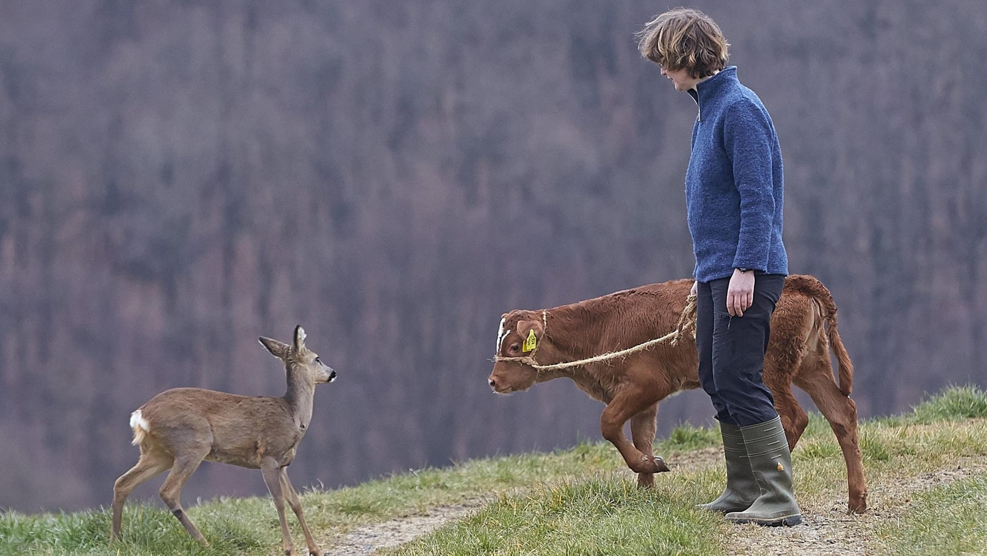 Beim Spaziergang mit Pflegemutter Margret Nelles bleibt Tacoma in der Nähe.