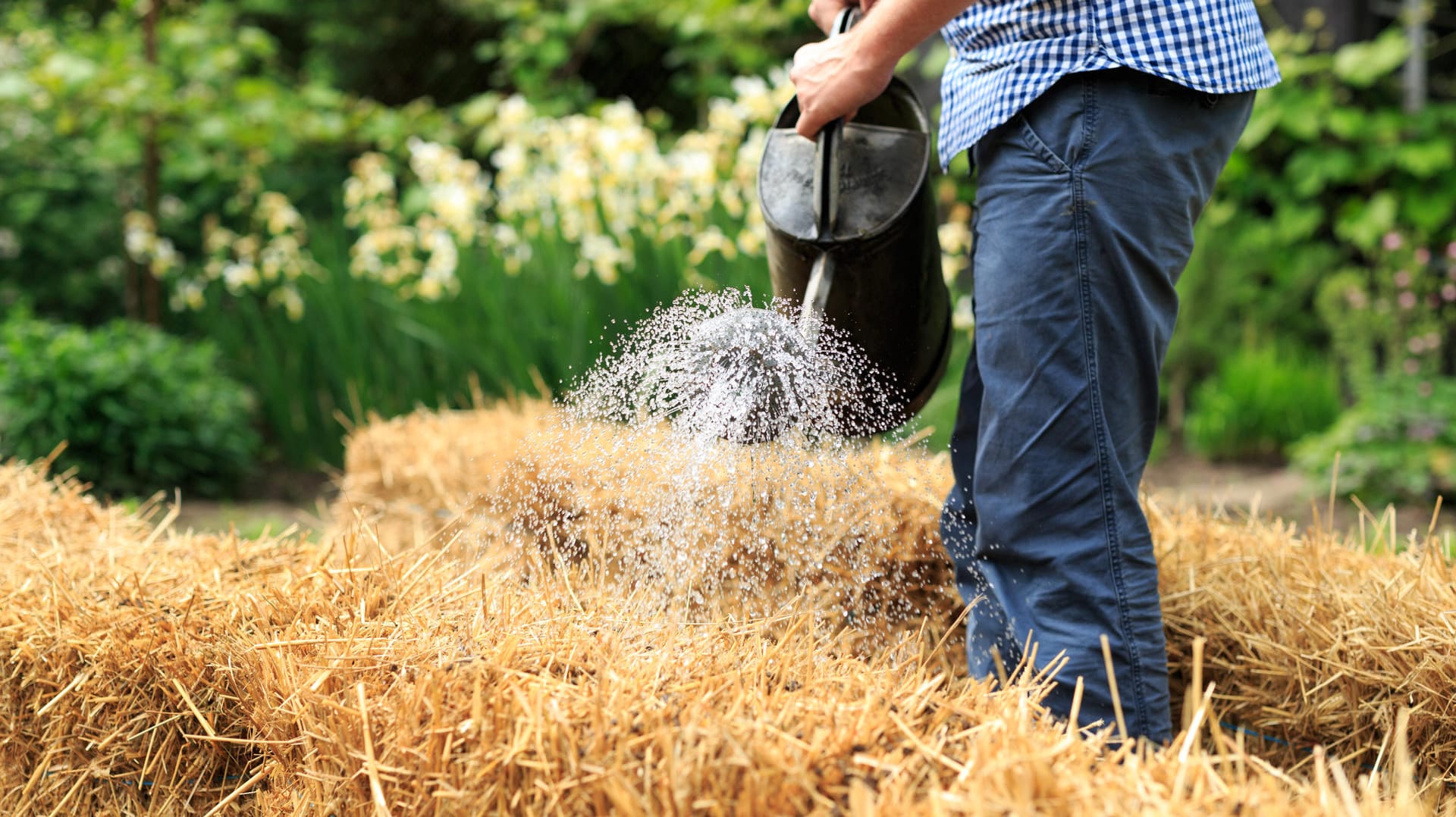 Gärtnern geht auch ohne Gartenerde.