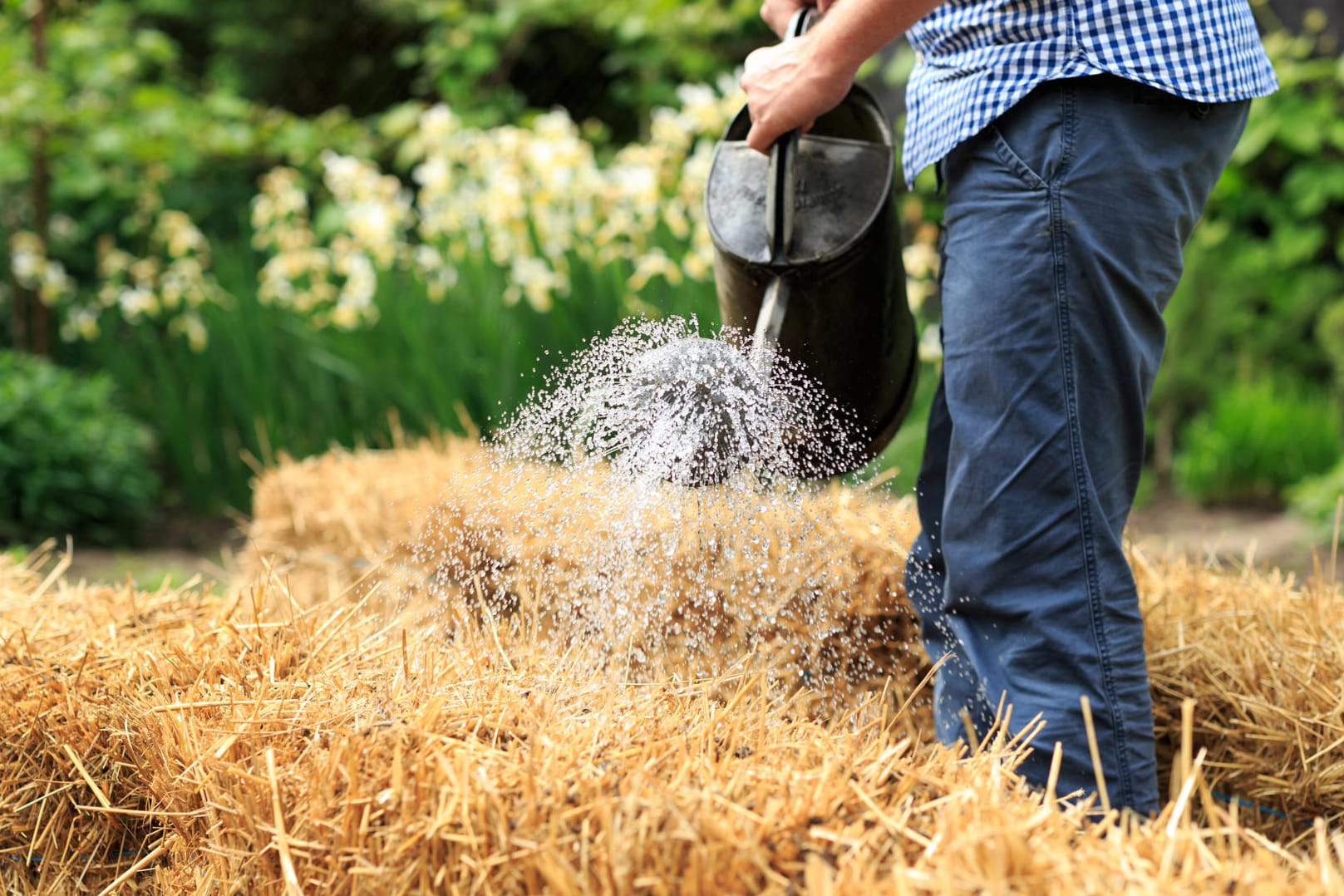 Gärtnern geht auch ohne Gartenerde.