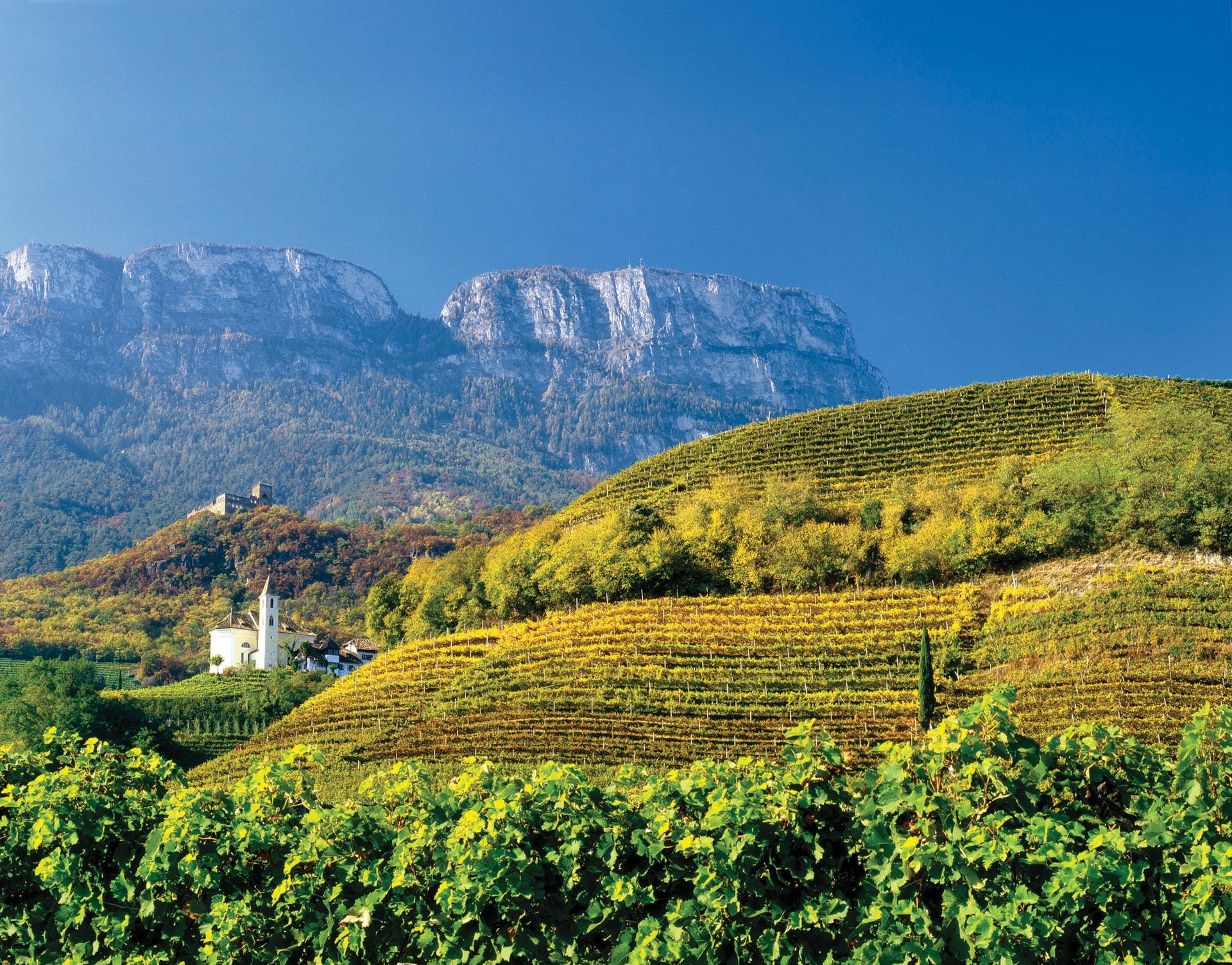 In der gesamten Region überziehen pralle Rebenhänge die sanften Hügel. Auf der Südtiroler Weinstraße sehen Besucher diese Pracht - und können an vielen Orten auch das fertige Produkt kosten.