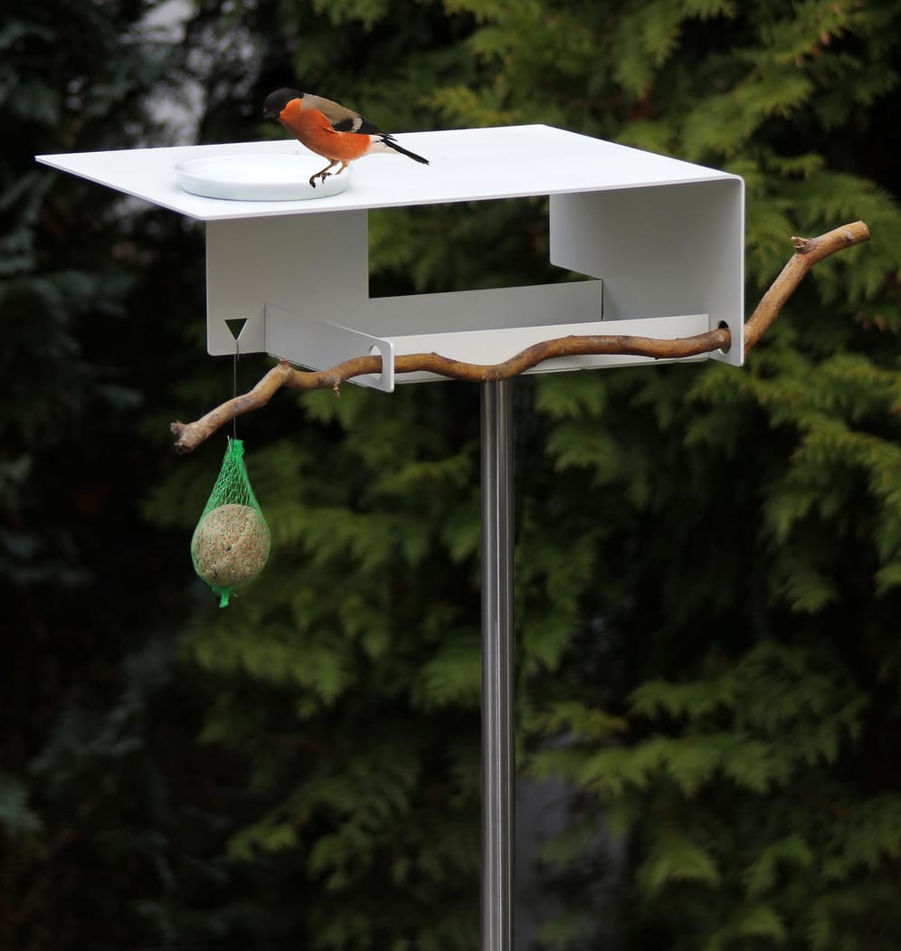 Auch Bauhaus-Fans können den Vögeln was bieten.