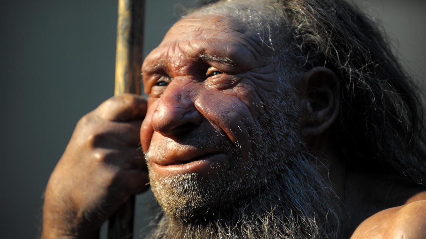 Neandertaler und moderne Menschen könnten sich aufgrund bestimmter Erbanlagen nicht erfolgreich vermehrt haben.