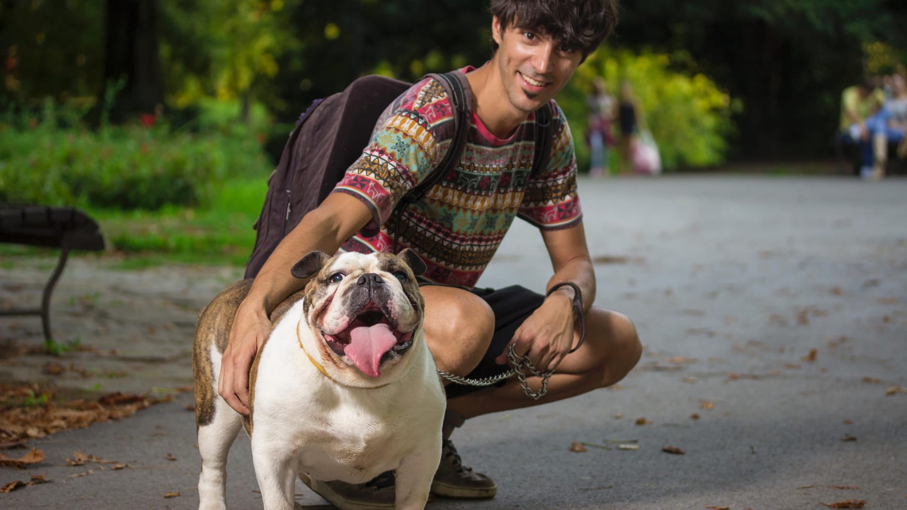 konnen englische bulldoggen gefahrlich sein