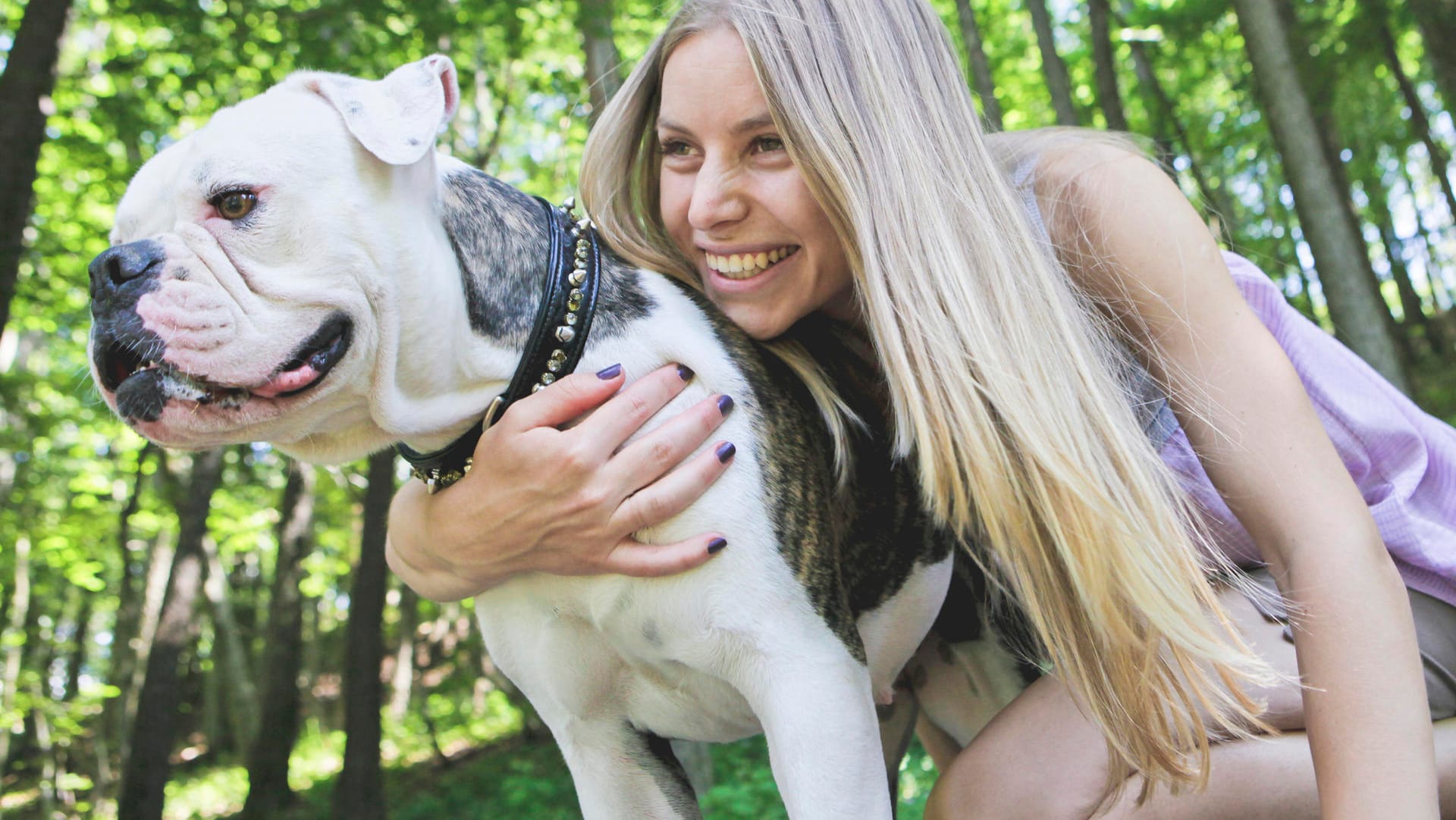 Die Amerikanische Bulldogge ist ein liebevoller Hund bei der richtigen Erziehung.