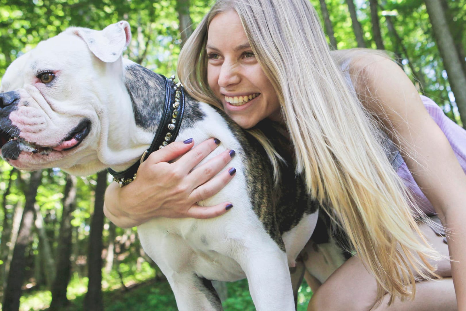 Die Amerikanische Bulldogge ist ein liebevoller Hund bei der richtigen Erziehung.