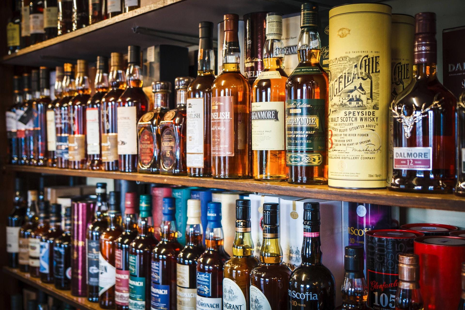Die Auswahl alleine an schottischen Whiskys ist riesig