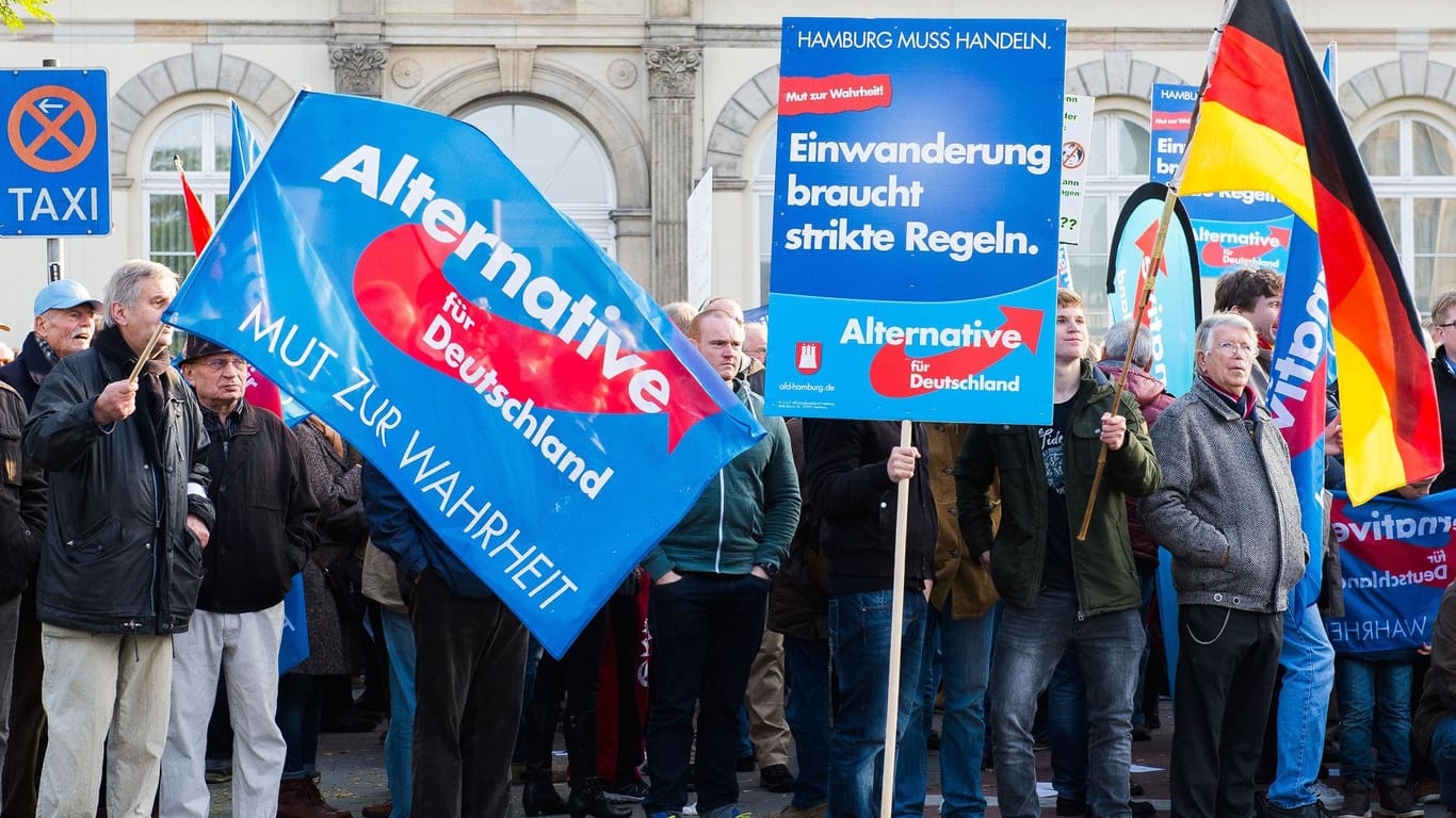 Demonstration der AfD in Hamburg: Die Partei kann auch bei Menschen punkten, die sie nicht wählen.