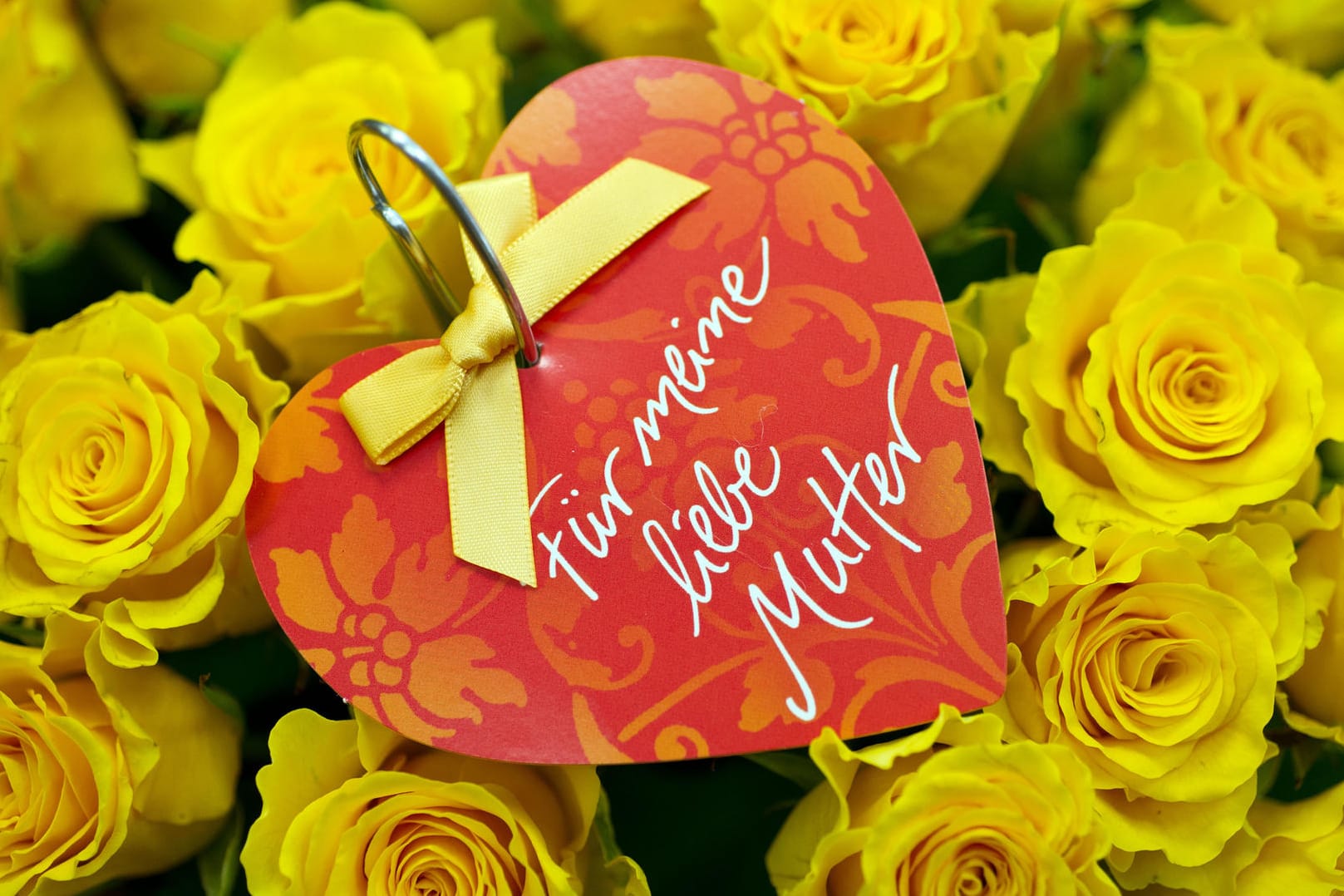 Auch am Muttertag 2016 sind Blumen beliebte Muttertagsgeschenke.