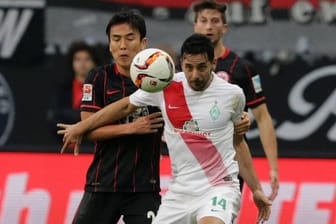 Auf Ballhöhe: Für Eintracht Frankfurt (links Makoto Hasebe) und Werder Bremen (rechts Claudio Pizarro) geht es ums sportliche Überleben.