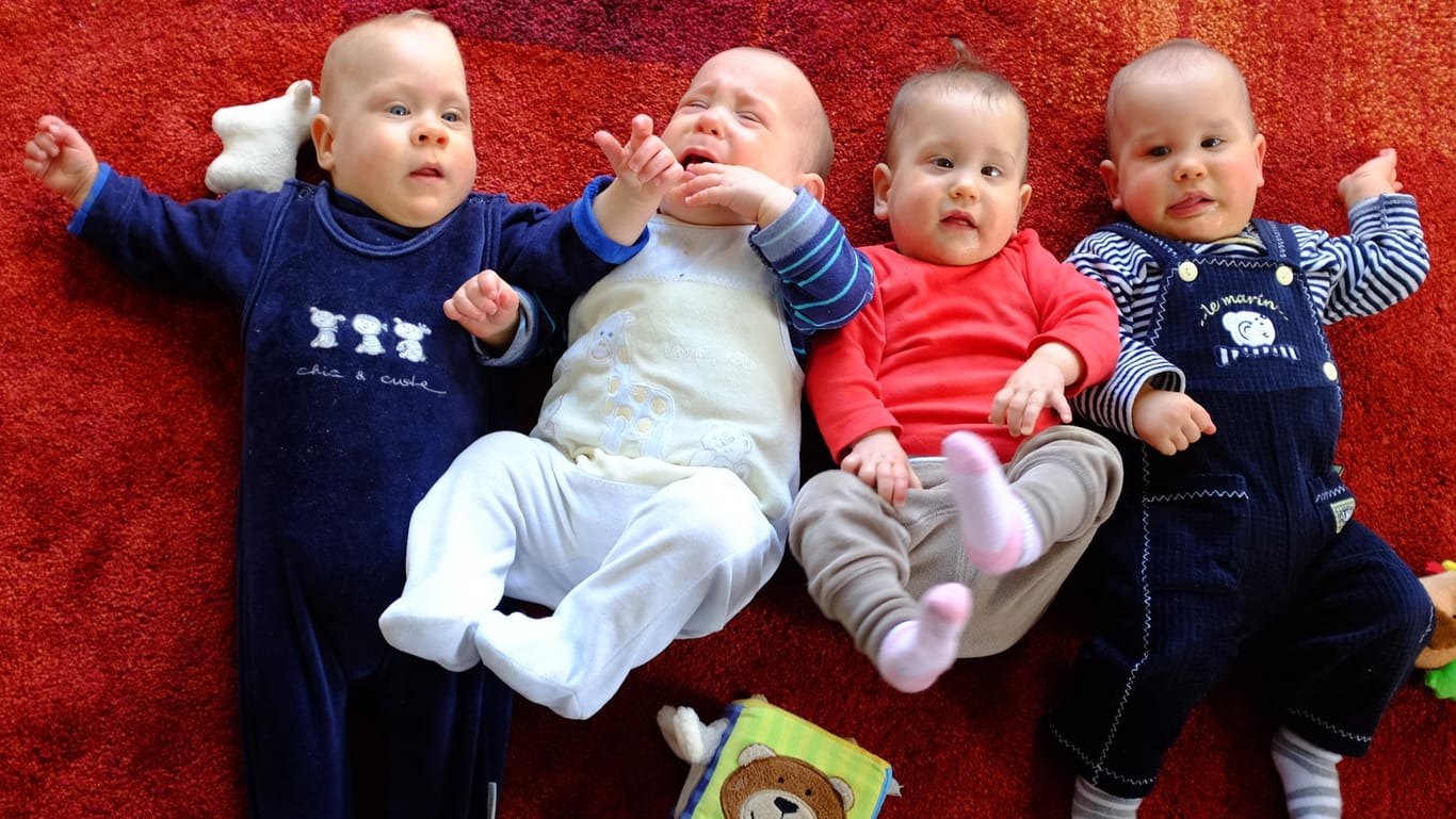 Am 19. Mai werden die Vierlinge Neeta, Dries, Bence und Fjonn ein Jahr alt.