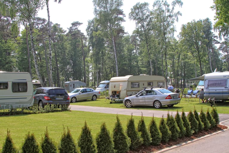 Der Campingpark Kühlungsborn liegt zwischen dem gleichnamigen Ort und dem Ostseestrand. Birken spenden Schatten.