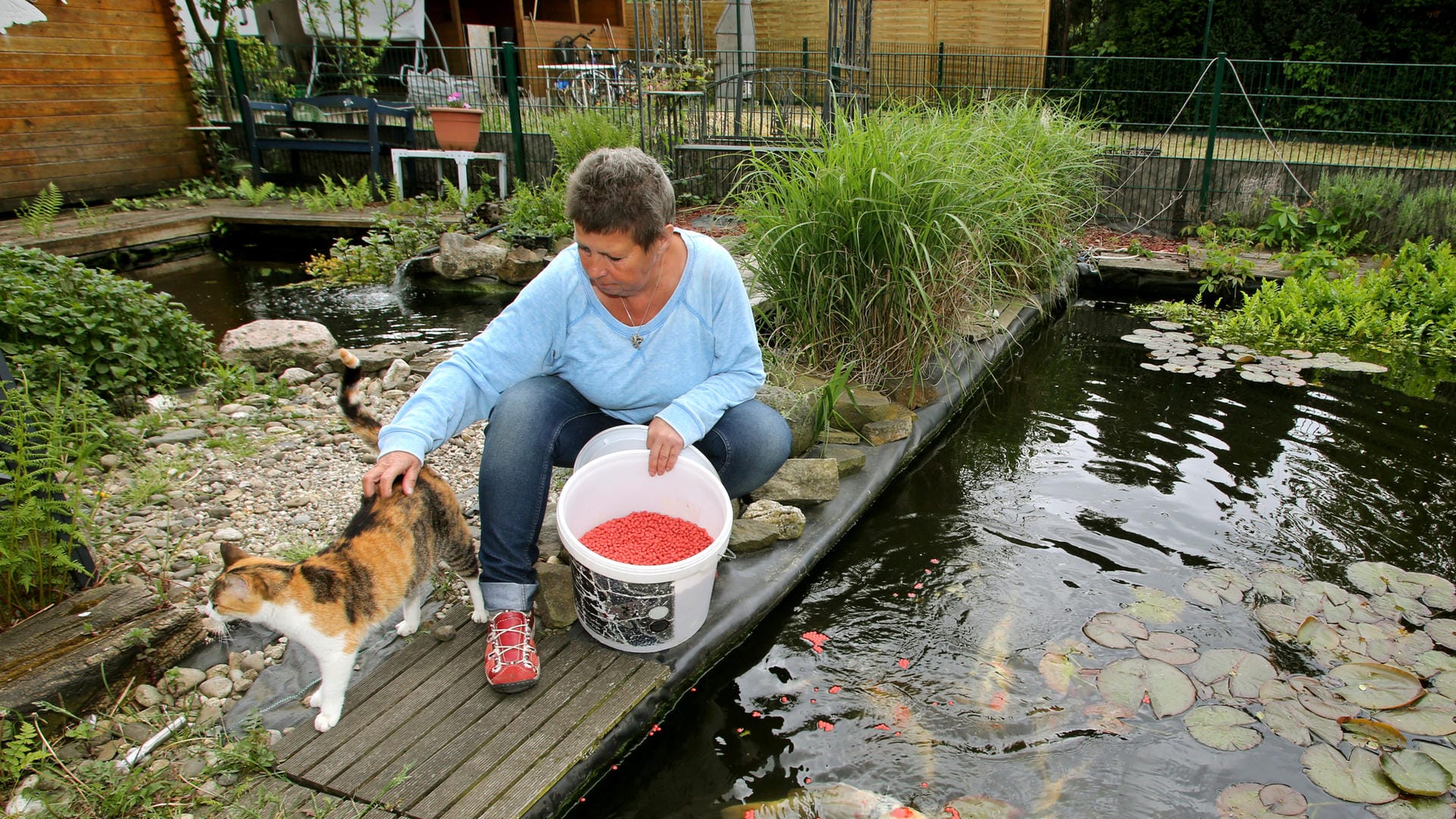 Zwischen Katze und Koi-Karpfen: Susanne Neumann in ihrem Garten.