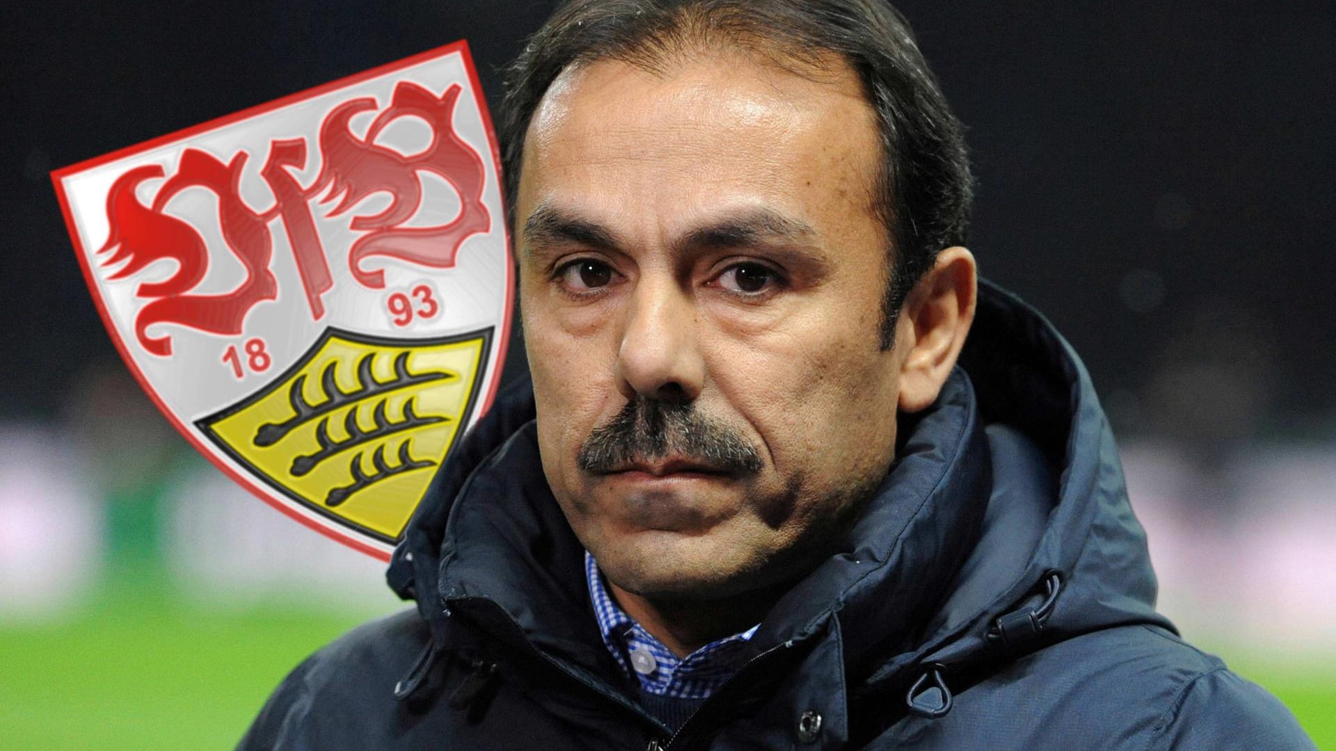 Hoffnungsträger: Jos Luhukay soll den VfB Stuttgart zurück in die Bundesliga führen. Hoffnungsträger: Jos Luhukay soll den VfB Stuttgart zurück in die Bundesliga führen.
