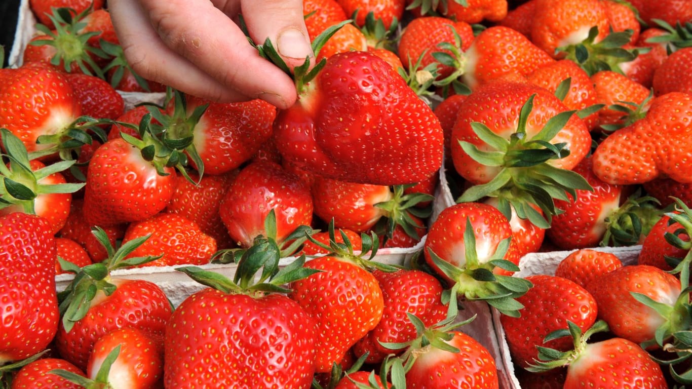 Verbraucher sind bereit, für deutsche Erdbeeren mehr zu bezahlen.