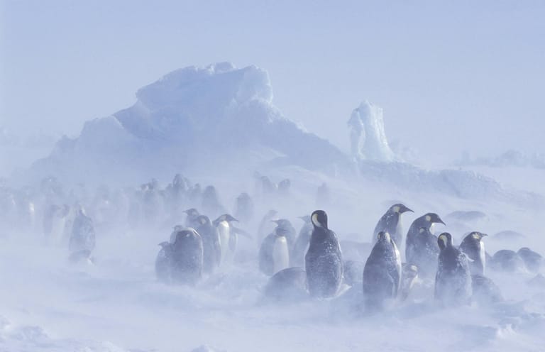 Die Antarktis zieht die stärksten Winde an, weil davor keine Landmassen sind, die sie bremsen können, bevor sie auf die Antarktis treffen.