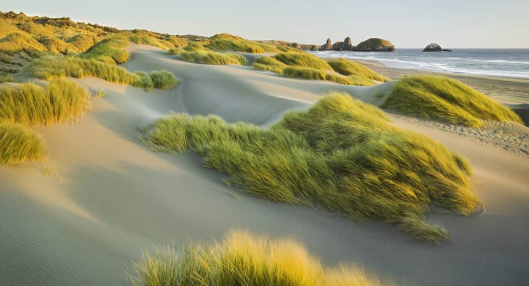 Pistol River: Die See ist stürmisch, die Wellen sind hoch, das Wasser ist kalt. Dennoch zieht es Wind- und Kitesurfer zu diesem abgelegenen Platz im Süden des US-Bundesstaats Oregon.