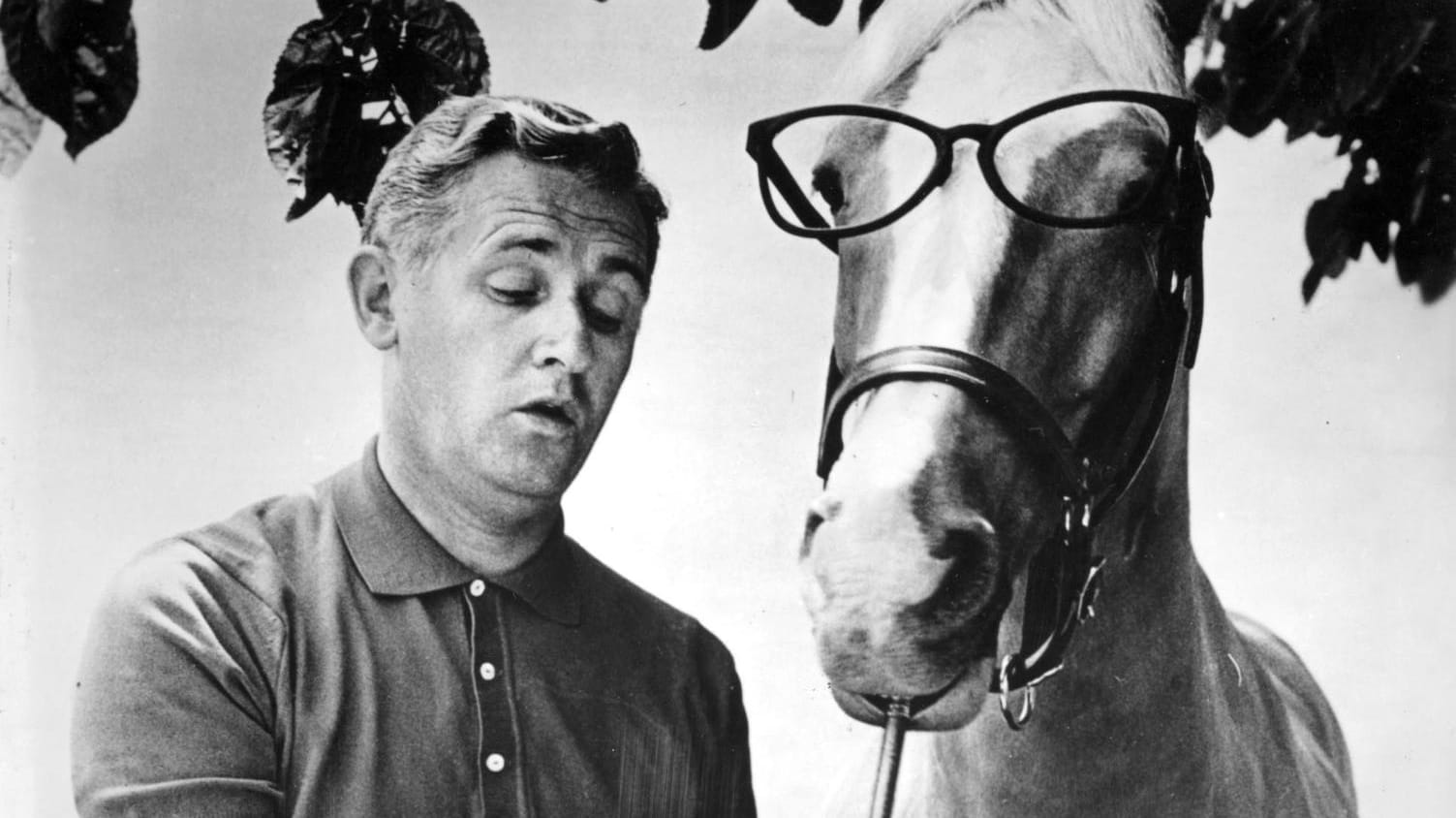 Alan Young, bekannt aus der TV-Serie "Mister Ed", ist gestorben.