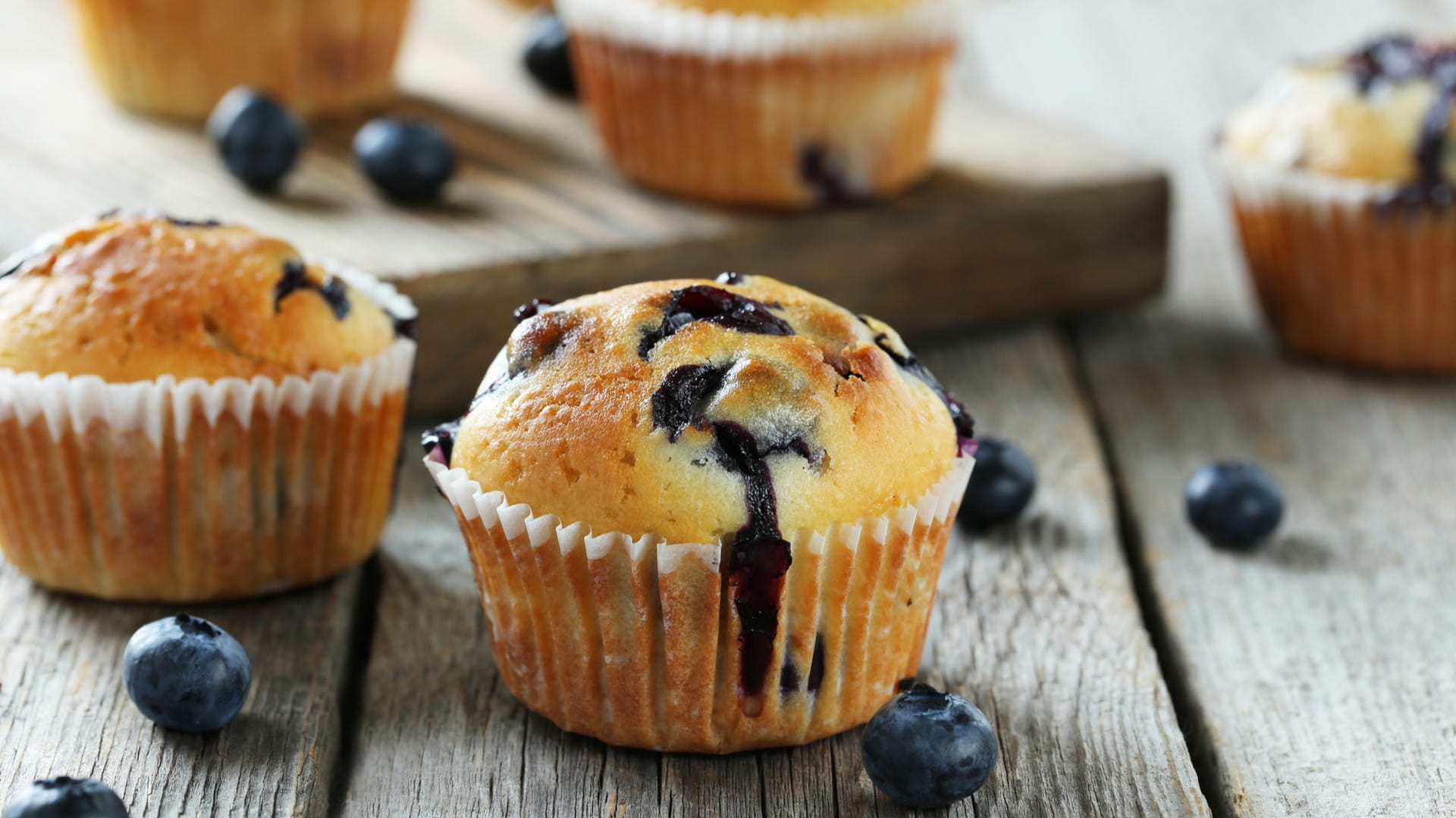 Blaubeermuffins sind fruchtig-leicht und daher das ideale Gebäck für die sommerliche Kaffeetafel.