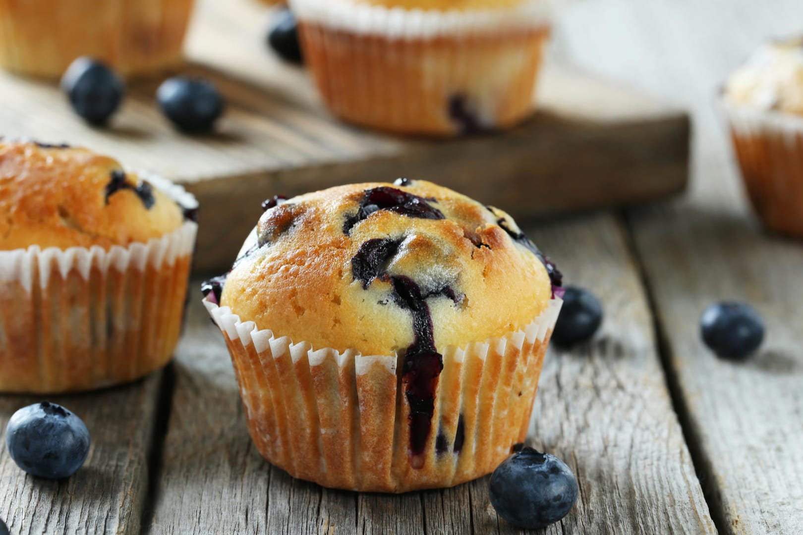 Blaubeermuffins sind fruchtig-leicht und daher das ideale Gebäck für die sommerliche Kaffeetafel.