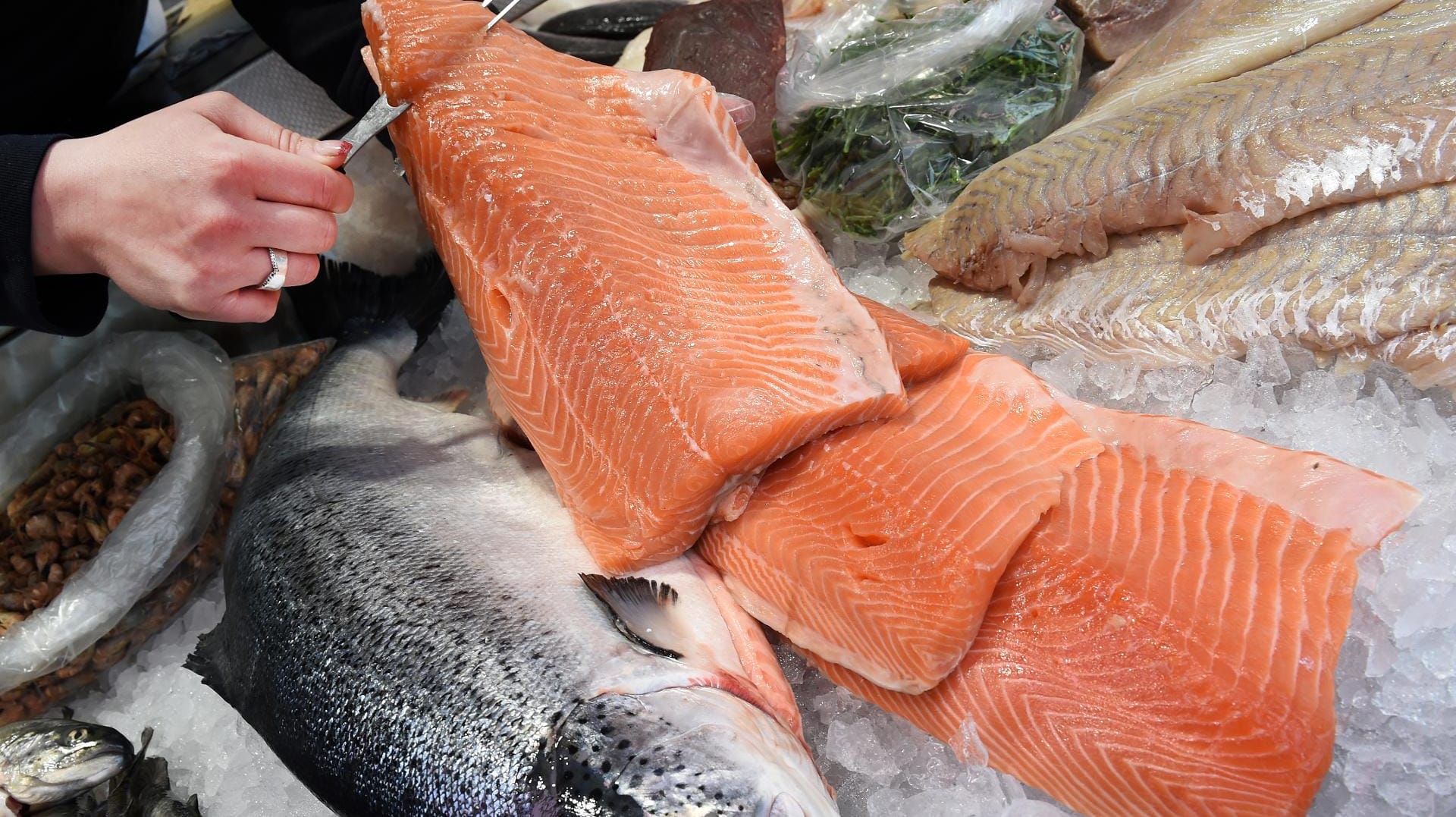 Ethoxyquin gelangt möglicherweise über das Futter in den Lachs.