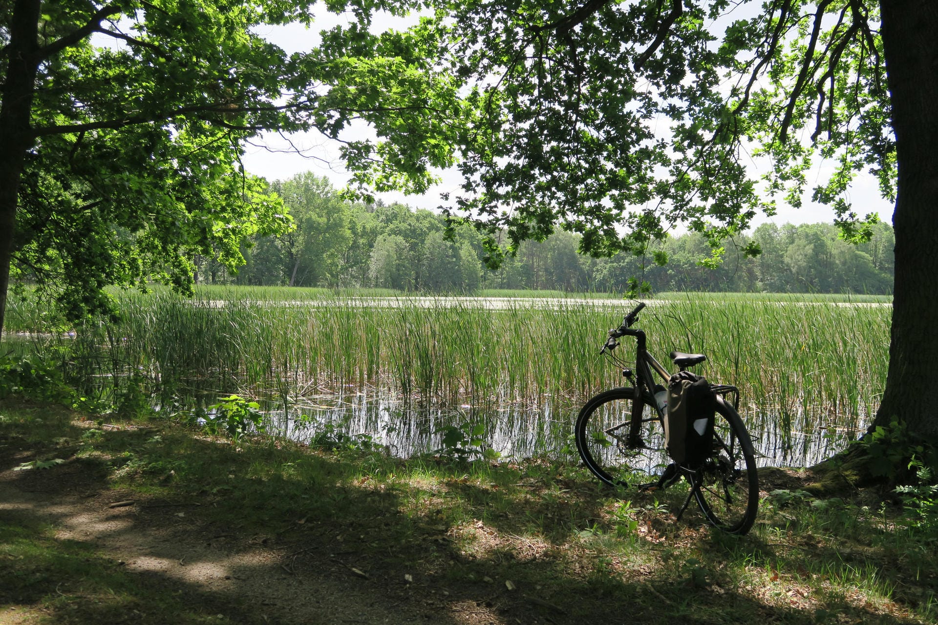Wer den Frosch-Radweg entlangradelt, kann die Lausitzer Teichlandschaft bei Mönau genießen.