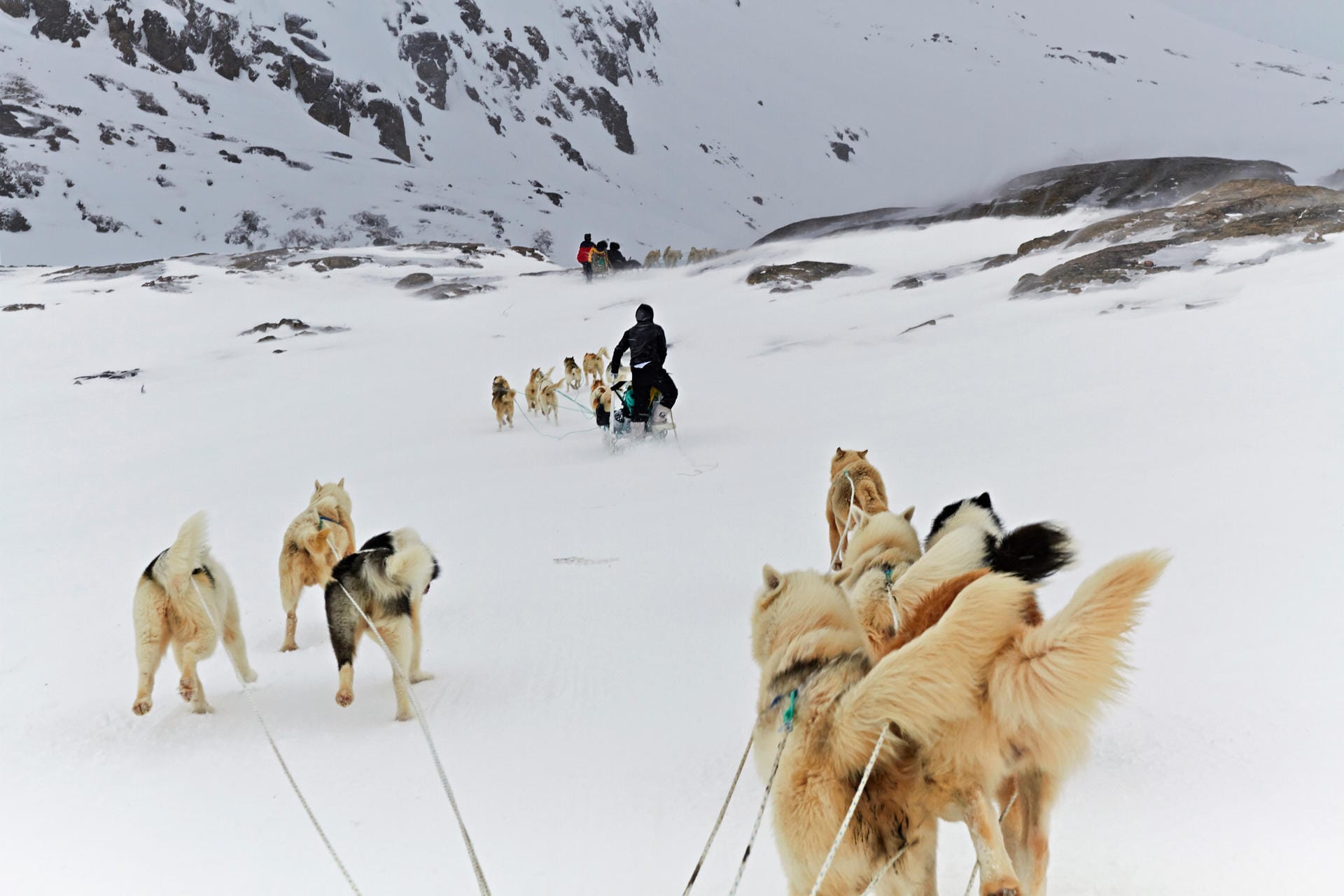 "Die Welt von Morgen": Inuit brachten die Familie mit Hundeschlitten und Versorgungsschiffen bis zu den entlegenen Siedlungen am Inlandeis