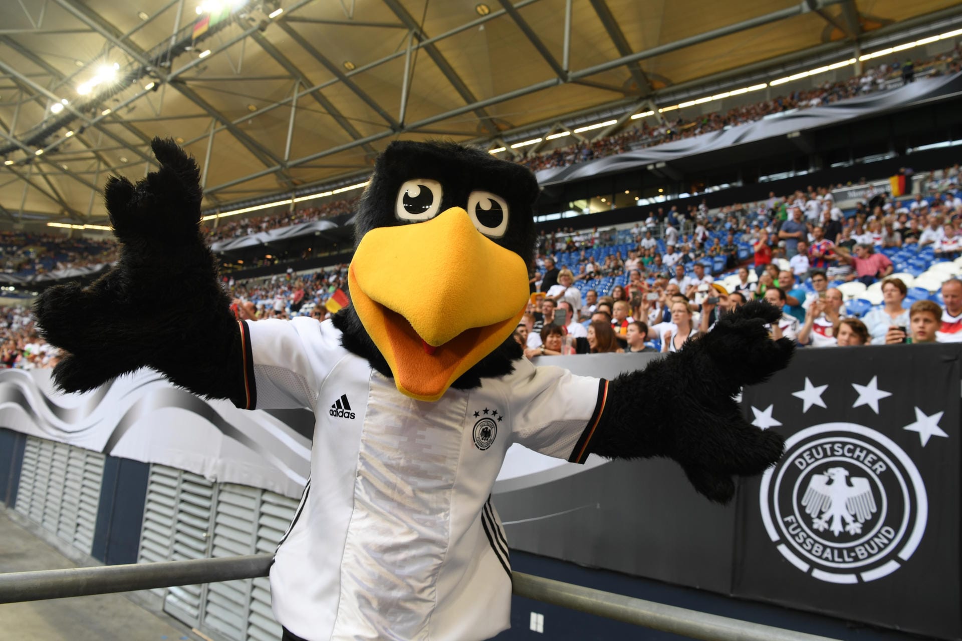 Auf geht's zur EM-Generalprobe: DFB-Maskottchen Paule grüßt vor der Partie Deutschland gegen Ungarn aus der Veltins Arena.