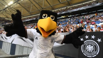 Auf geht's zur EM-Generalprobe: DFB-Maskottchen Paule grüßt vor der Partie Deutschland gegen Ungarn aus der Veltins Arena.
