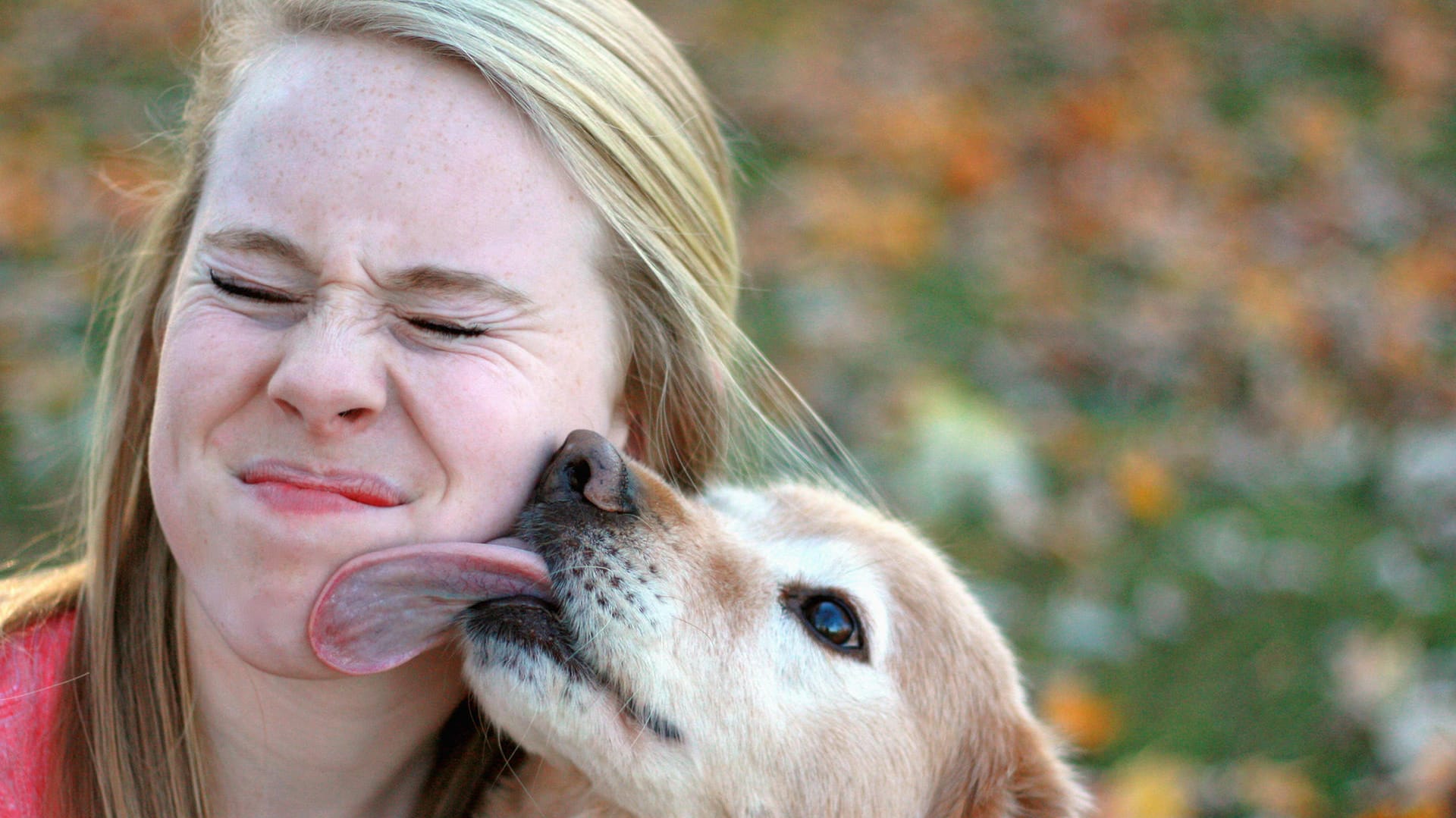 Hunde bekunden ihre Zuneigung gern durch einen Schmatzer. Hygienisch ist das jedoch nicht.