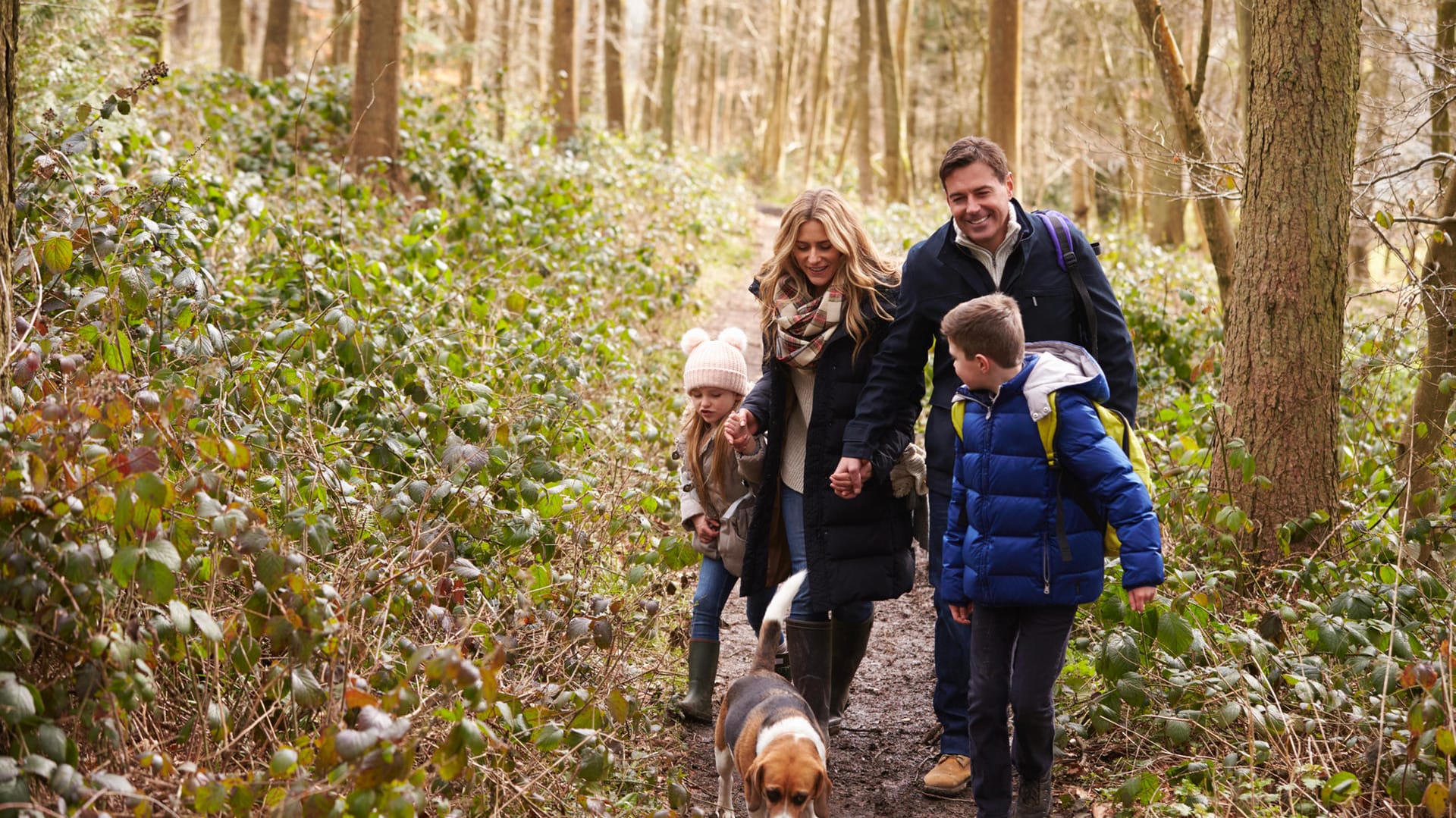 Eine Wandertour durch den heimischen Wald vertreibt die Langeweile am Sonntag ganz automatisch.