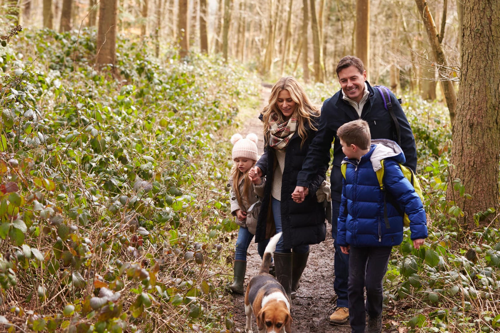 Eine Wandertour durch den heimischen Wald vertreibt die Langeweile am Sonntag ganz automatisch.