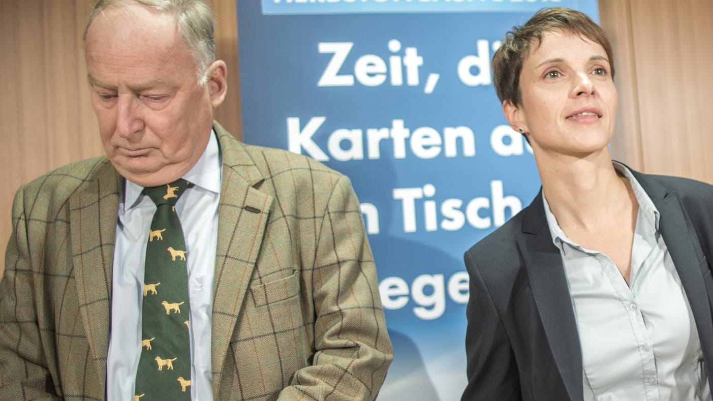 Alexander Gauland und Frauke Petry stehen parteiintern in der Kritik.