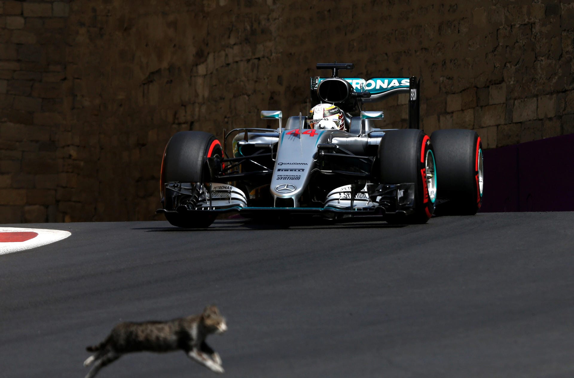 Lebensmüde: Ein Katze kreuzt den Weg des heranrasenden Lewis Hamilton.