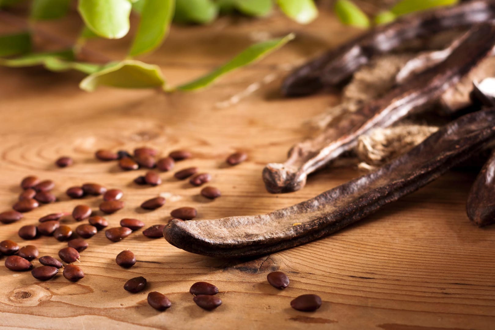 Die Carob-Früchte des Johannisbrotbaums zählen zu den Hülsenfrüchten.