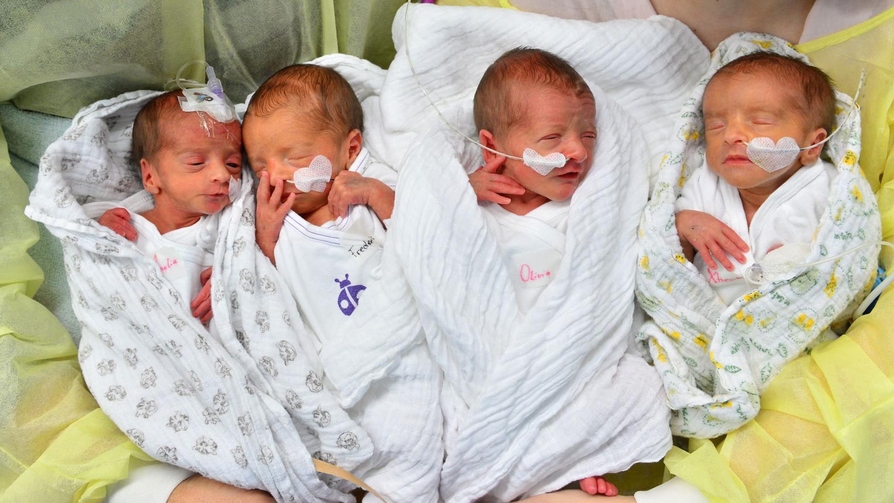 Amelia, Frederic, Olivia und Xhesika (von links nach rechts) wurden in Jena geboren.