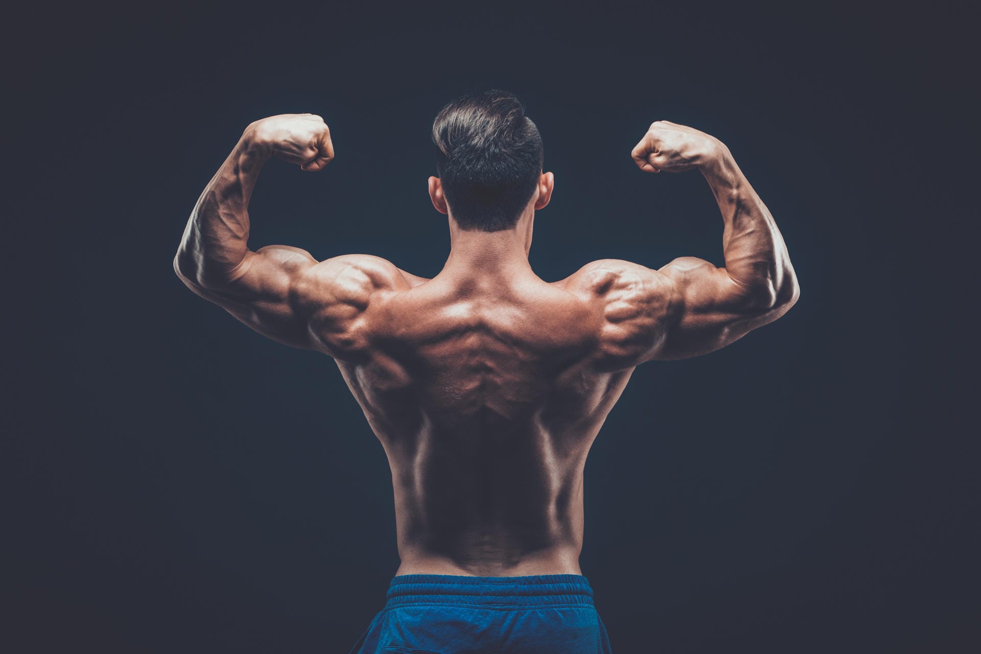 Viele wissen nicht, dass eigentlich der Trizeps der Muskel ist, der zwei Drittel des Armes ausmacht und der Bizeps nur ein Drittel zur Armmuskulatur beiträgt. Dazu trägt vielleicht die bekannte Pose "Double Biceps" bei.
