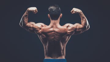 Viele wissen nicht, dass eigentlich der Trizeps der Muskel ist, der zwei Drittel des Armes ausmacht und der Bizeps nur ein Drittel zur Armmuskulatur beiträgt. Dazu trägt vielleicht die bekannte Pose "Double Biceps" bei.