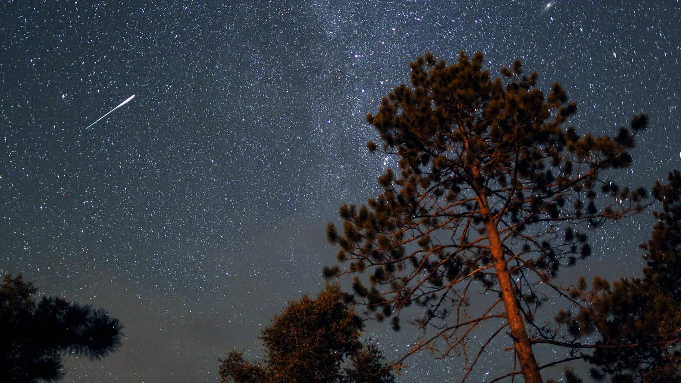 In der "Nacht der Perseiden" können Sie besonders viele Sternschnuppen beobachten.