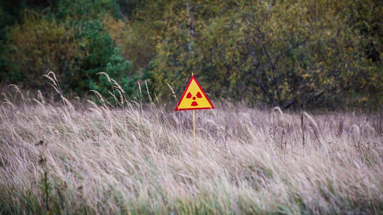 Die Auswirkungen der Reaktor-Katastrophe von Tschernobyl werden uns noch lange begleiten.