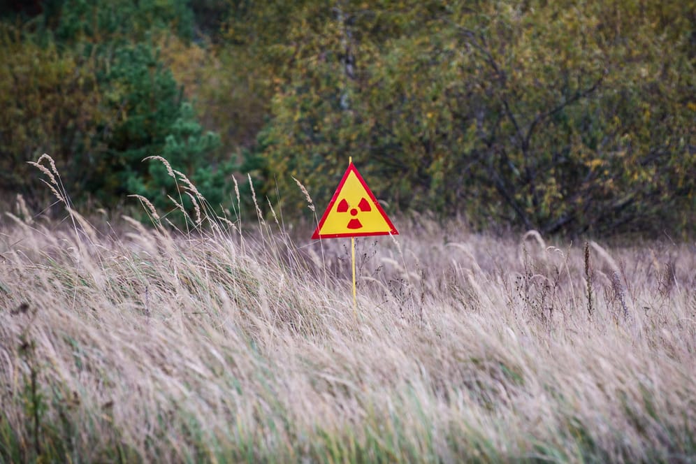 Die Auswirkungen der Reaktor-Katastrophe von Tschernobyl werden uns noch lange begleiten.