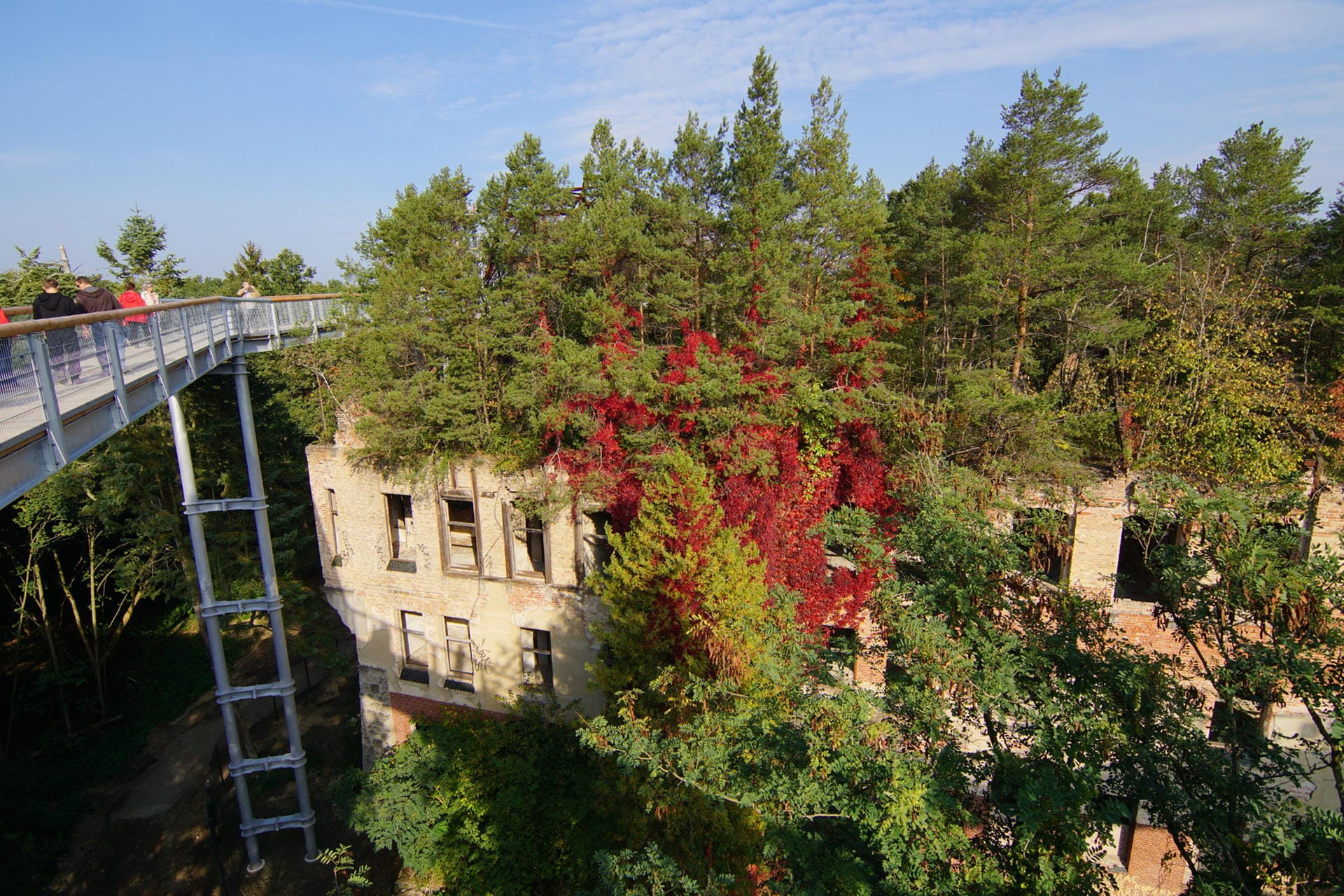 Im brandenburgischen Beelitz gibt es den Pfad «Baum und Zeit». Er führt über die Ruinen der Beelitzer Heilstätten.